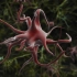 【3D演示】神经系统基础-神经胶质细胞（原版+中法双字版）