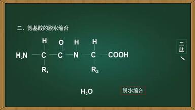第01弹 <em class="keyword">蛋白质</em>的<em class="keyword">结构</em>和功能