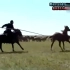 全国最烈的千里马，大草原万里挑一，会马语的驯马者两小时驯服