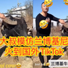 中国大叔模仿兰博基尼销售视频火到国外TikTok，老外说这营销方式比兰博基尼好
