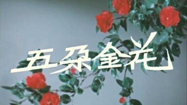 2-2《<em class="keyword">五朵金花</em>》
