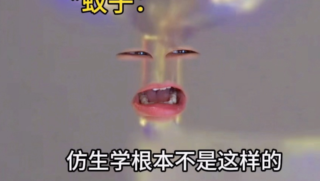 《仿生学是你的谎言》