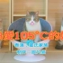 沙雕猫版《热爱105°C的你》，Mua天团，跨年巨献！