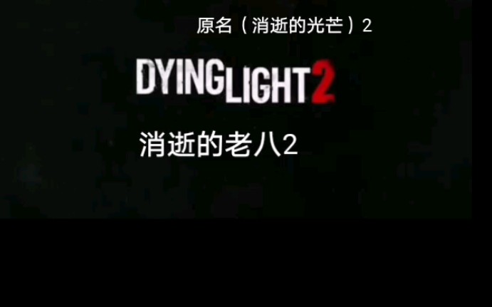 消逝的老八2dyinglaoba2