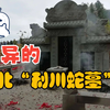 湖北男子遭蛇“追杀”5年，死后蛇群在坟上安家，当年发生了何事