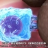 【科普】英语中字 微观看免疫系统如何攻击肿瘤/癌症细胞