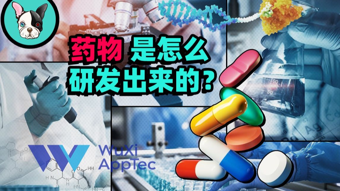 中国创新药企，是如何一步步崛起的？