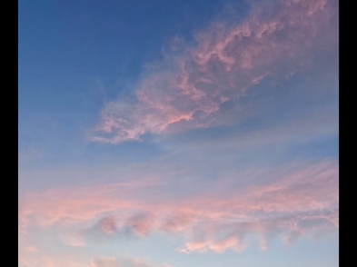 补发：基金小白速成宝典17