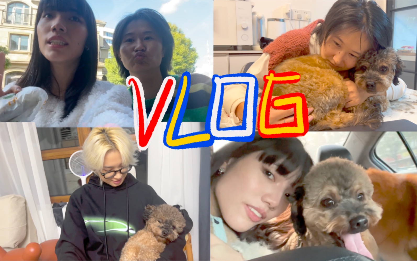 养狗的快乐谁能懂|vlog哔哩哔哩bilibili