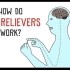 【Ted-ED】止疼药的原理 How Do Pain Relievers Work