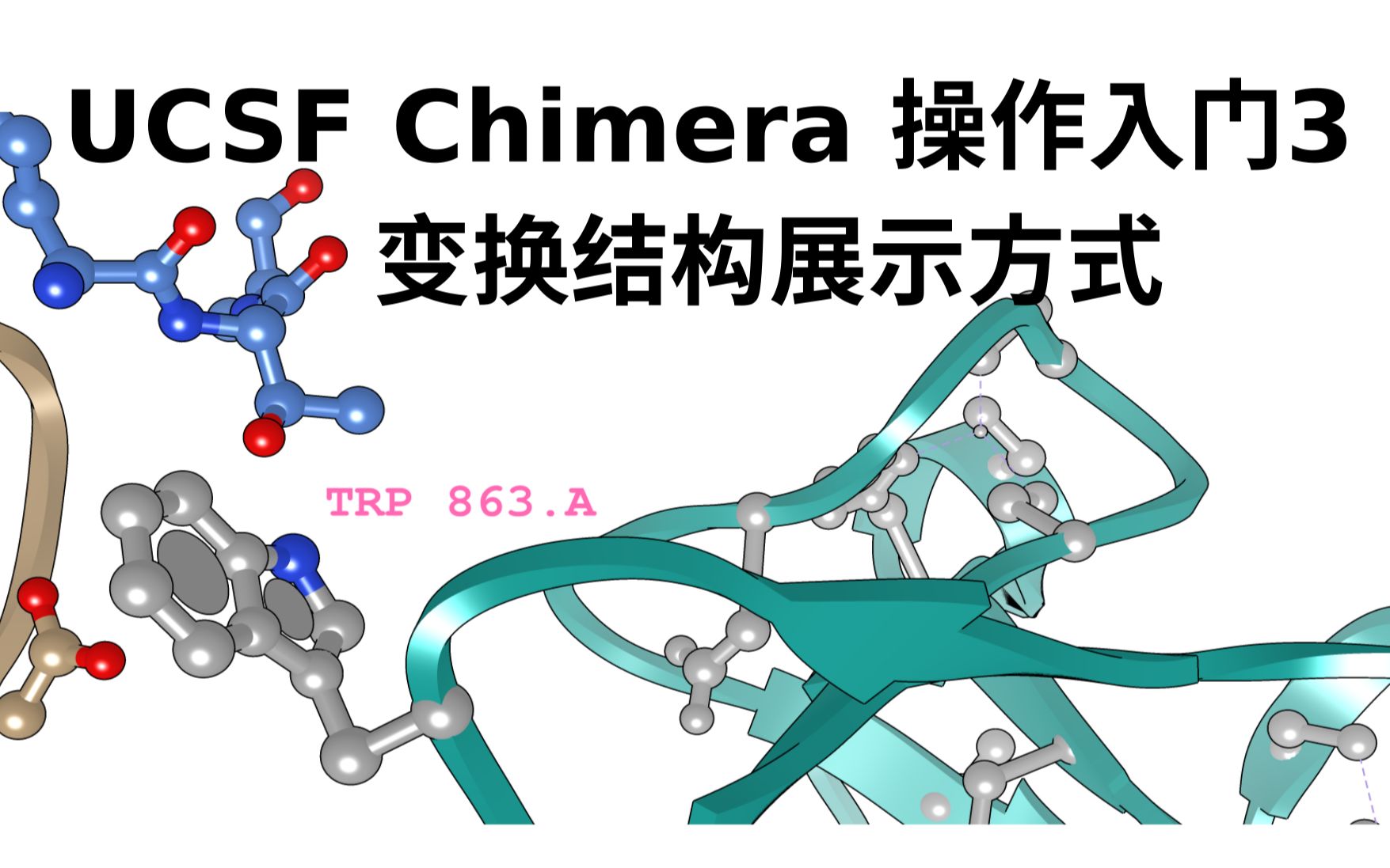 UCSF Chimera 蛋白配体氢键作用(更改氢键颜色/宽度)