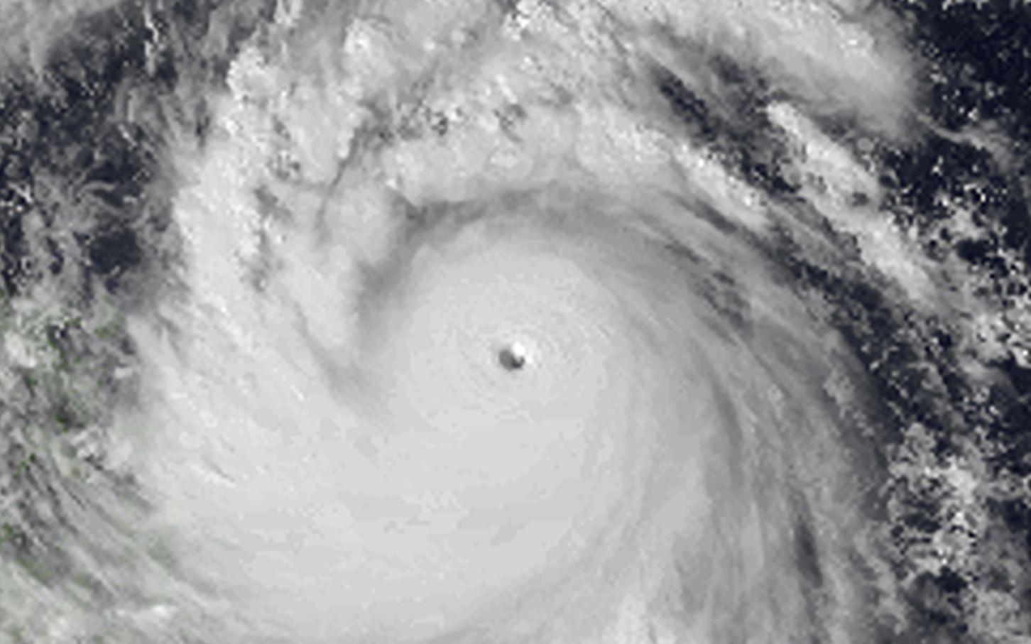 1995年西北太平洋台风季