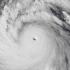 1995年西北太平洋台风季