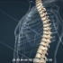 【医学动画】脊柱侧弯、脊柱前凸的危害及预防