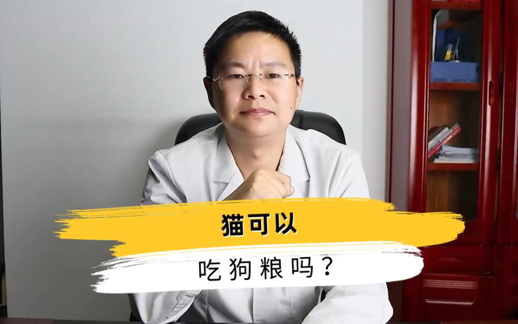 猫可以吃狗粮吗？