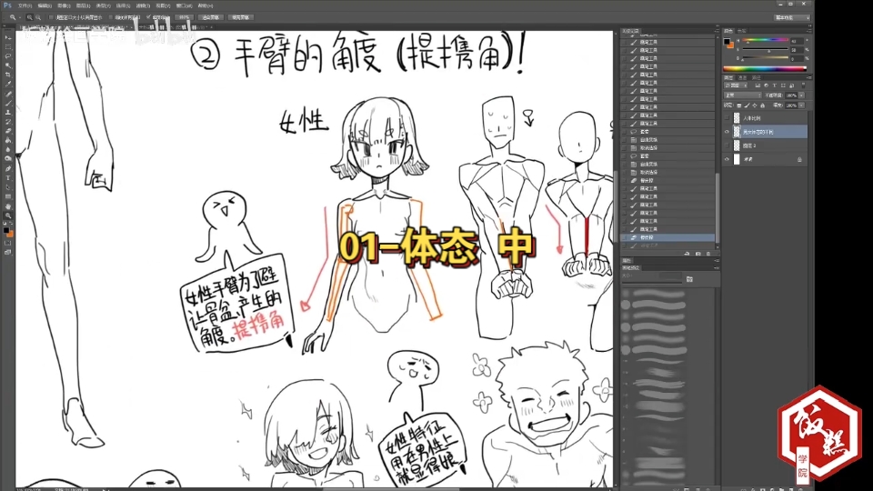 01-关于体态 中（2/3）