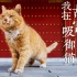【我在故宫吸御猫】猫薄荷和逗猫棒！让老北京一脸懵逼的故宫玩儿法！@花花与三猫CatLive