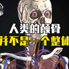 人体的奥秘：原来人类的颅骨并不是一个整体