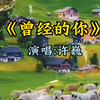 《曾经的你》演唱:许巍
