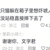狸花猫：人被我吓一跳吧
