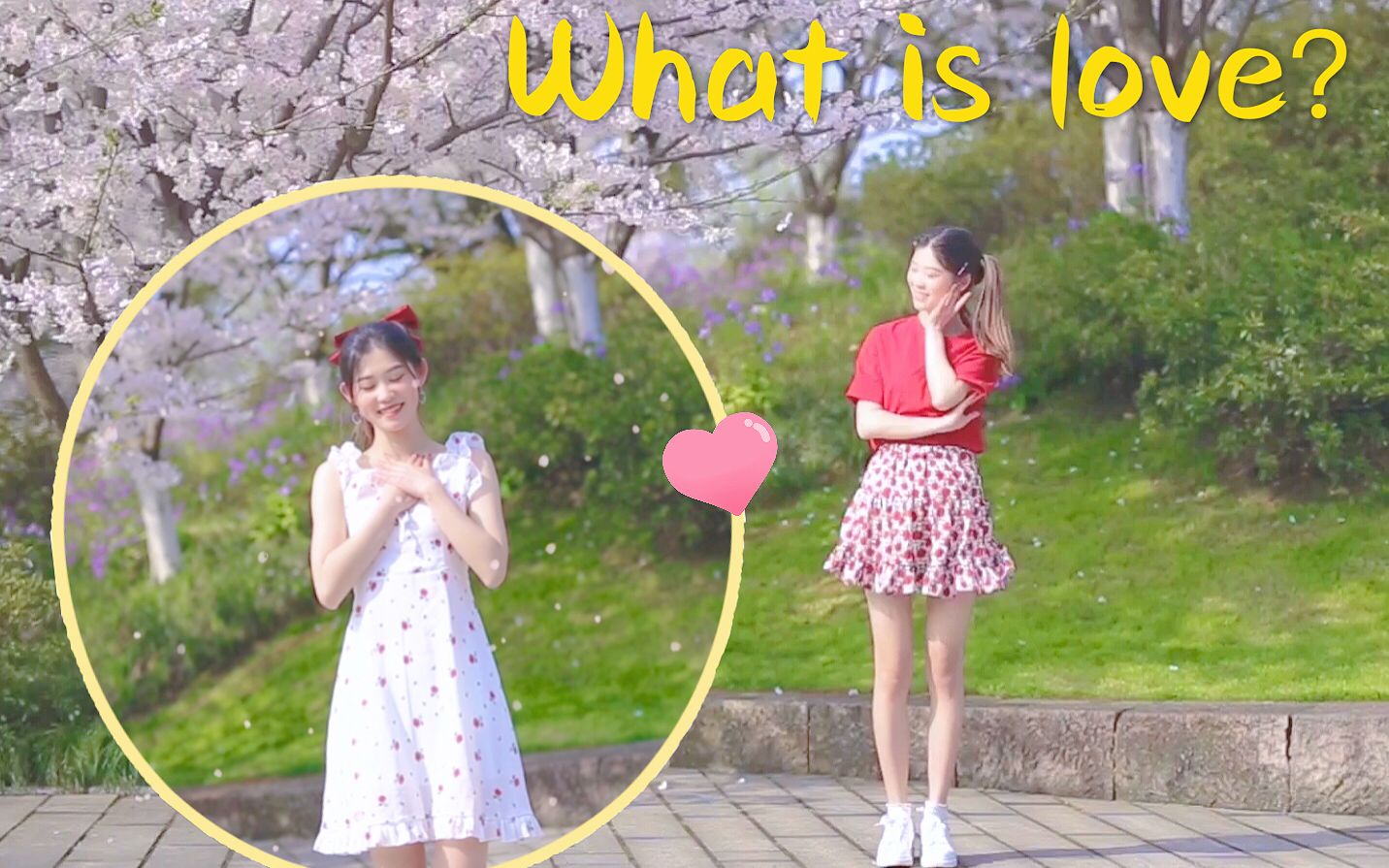 【十元酱】what is love-TWICE舞蹈翻跳 超甜的樱花味少女！