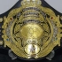 【AJPW】【科普向第一弹】历代Triple Crown Championship戴冠捍卫全合集