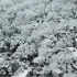 雪湖！杭州降下2018初雪  航拍西湖绝美雪景