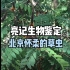 【亮记生物鉴定】北京怀柔的草虫