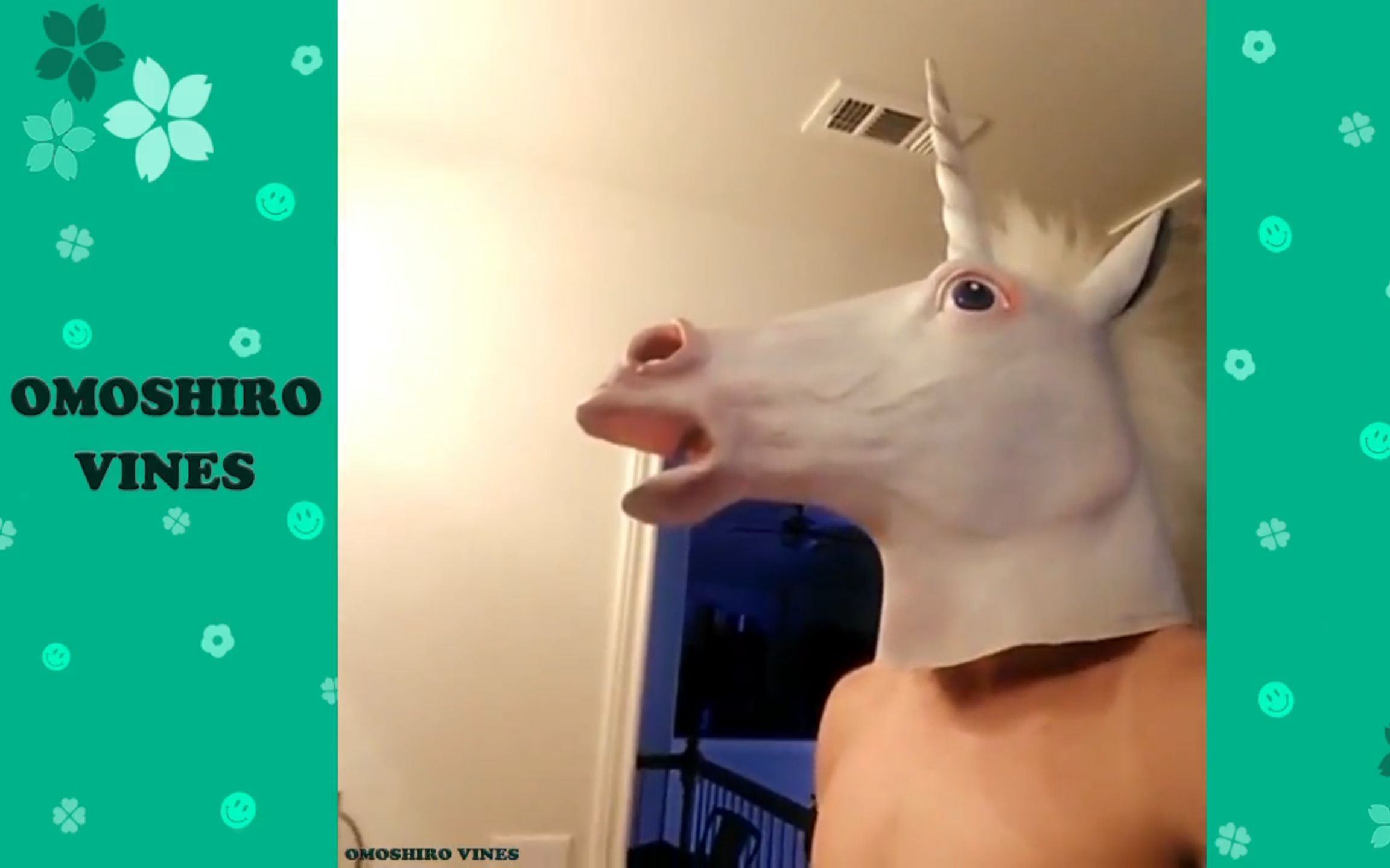 殿堂级爆笑vine动画集合