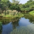 湿地公益视频