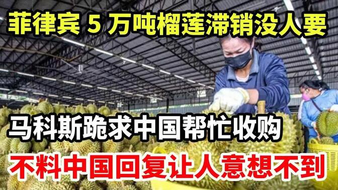 菲律宾5万吨榴莲滞销没人要，马科斯跪求帮忙收购，不料回复让人意想不到
