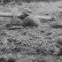 战地记者拍摄美军谢尔曼坦克遭到德军坦克杀手伏击影像配音