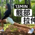 【13MIN开髋练习】10个动作缓解久坐族髋部紧张 | 提高髋部灵活度 | 促进下肢血液循环 | 预防和改善髋关节炎