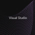 vs2019(Visual Studio 2019)权威指南&&C语言&&软件工程开发的方向&&技巧要领
