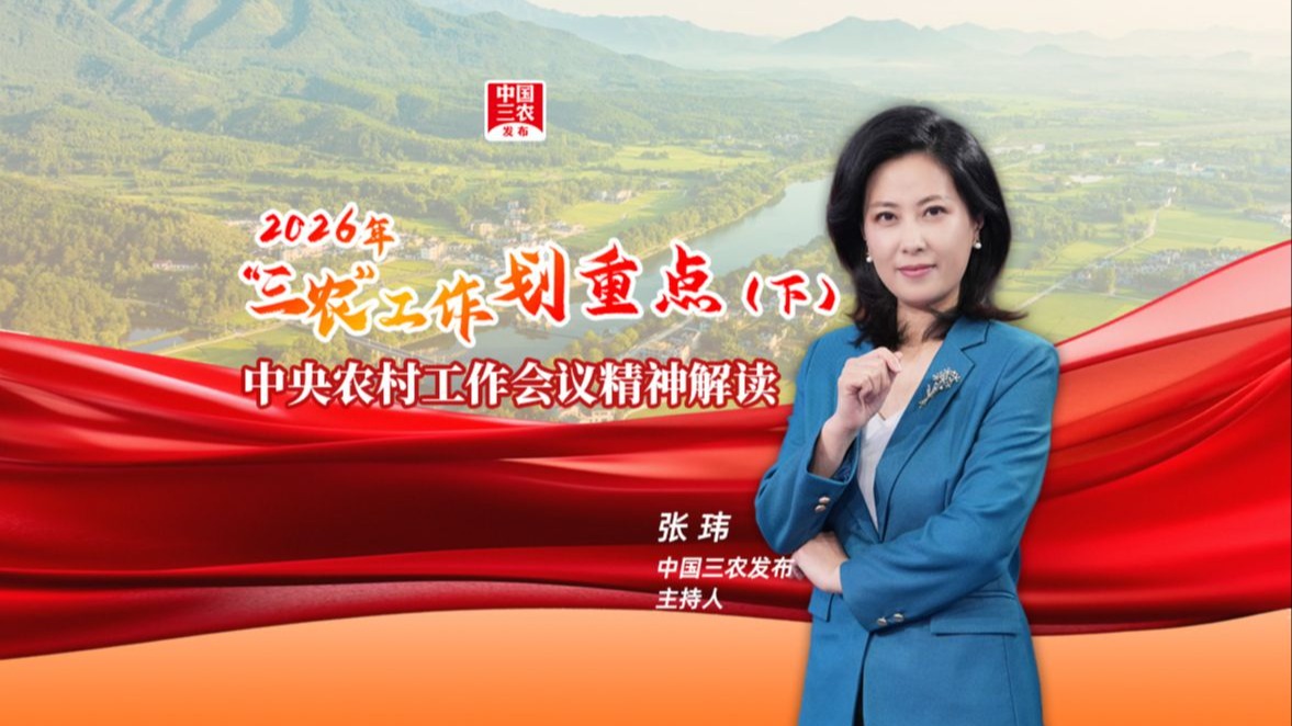 三农三人谈丨2026年“三农”工作划重点：中央农村工作会议精神解读（下）