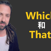that和which的区别