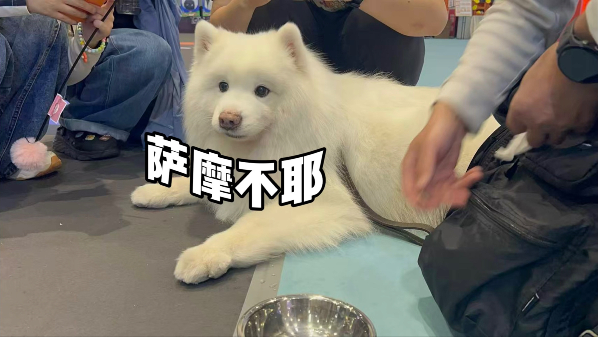 小羊：到底什么时候才能下班啊！