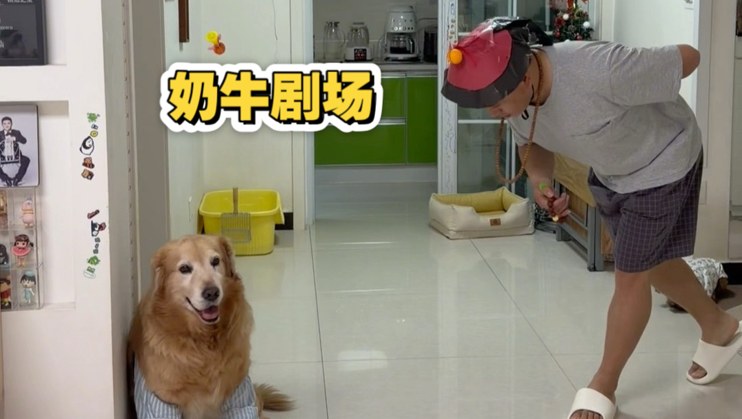 关于我老公想改行去拍电视剧被我拒绝后