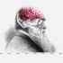 [英文字幕] Bio History 14 How Charles Darwin came up with the th