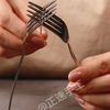 动手做小实验，探索未知的世界