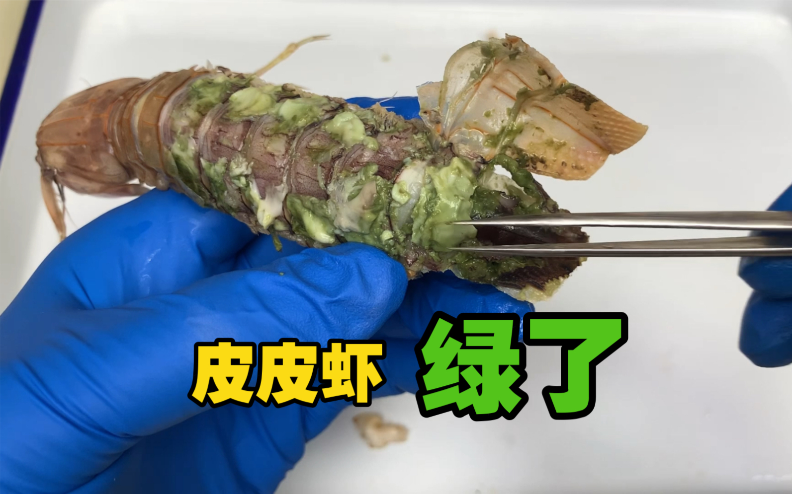 皮皮虾发绿到底是什么原因？究竟能不能吃？