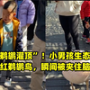 真“鹈鹕灌顶”！小男孩生态园摸网红鹈鹕鸟，瞬间被夹住脑袋
