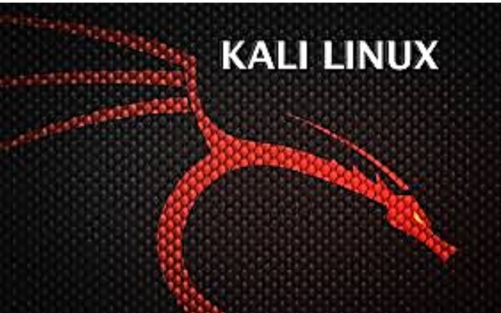 kali linux u盘安装_linux如何使用u盘_使用u盘装linux