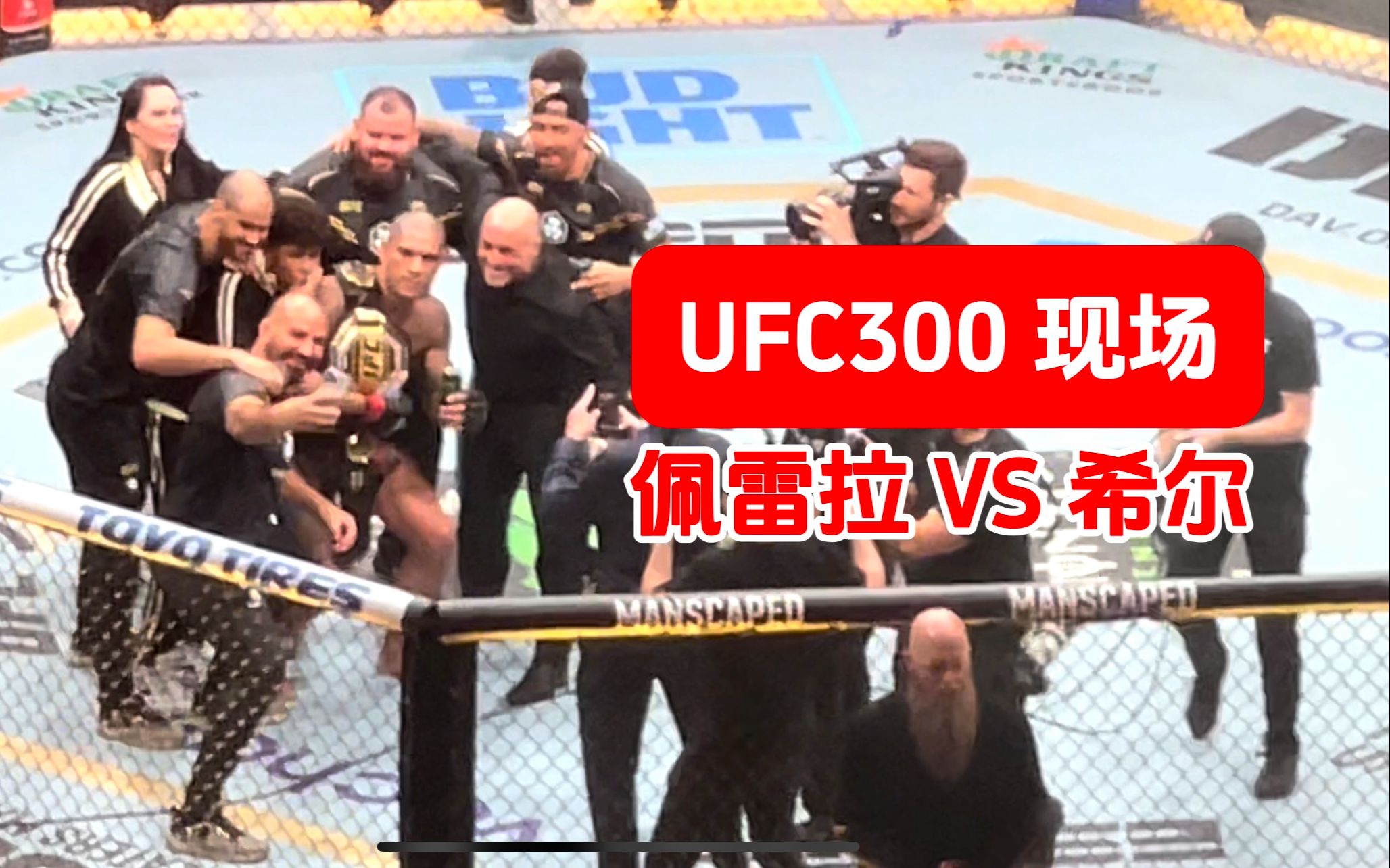 【UFC300现场】佩雷拉 VS 希尔