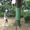 Acceed日常锻炼篇