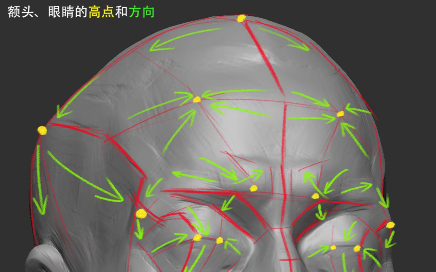 【全网最干头部结构教程】最详细、易懂的面部解剖造型