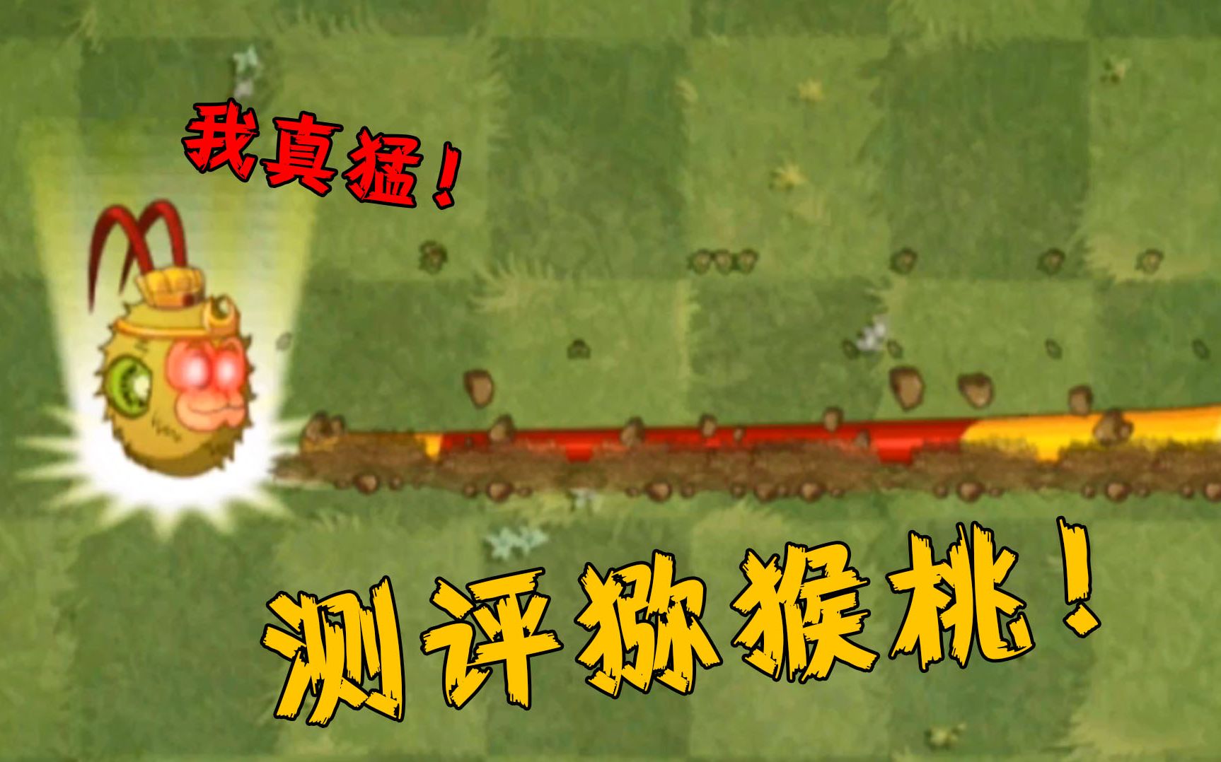 植物大战僵尸猕猴桃贵在哪里