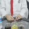神奇的液体