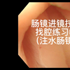 肠镜进镜技巧 找腔练习①（注水肠镜