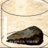 七下《历史与社会》8.1.1《原始先民的足迹》：打制石器看着真像普通石头呀